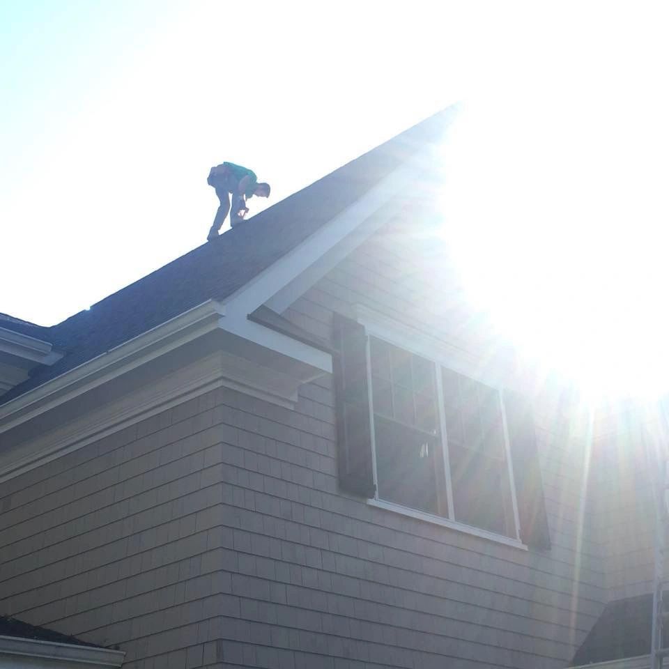 Wildlife Guys technician working on roof