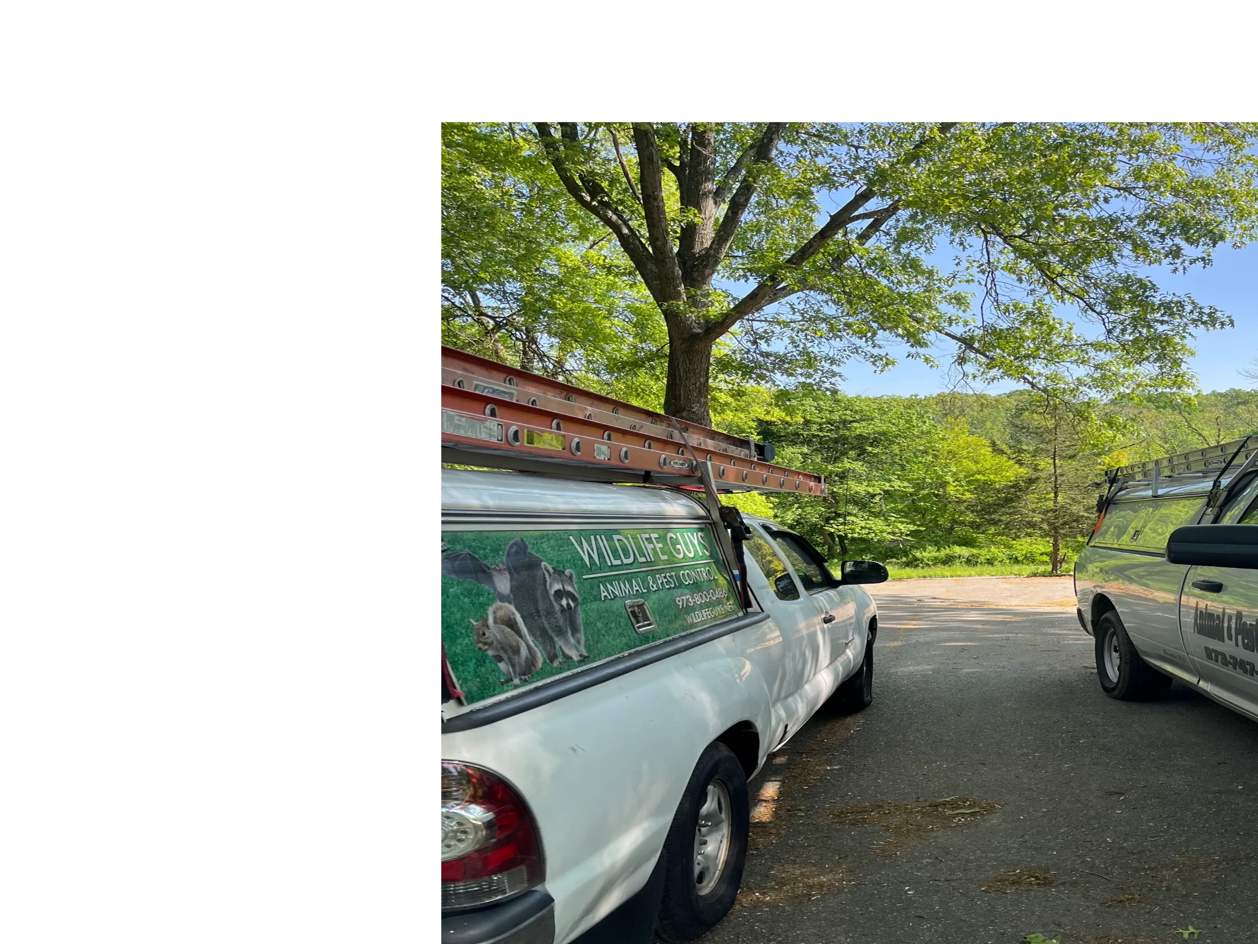 Wildlife Guys service truck